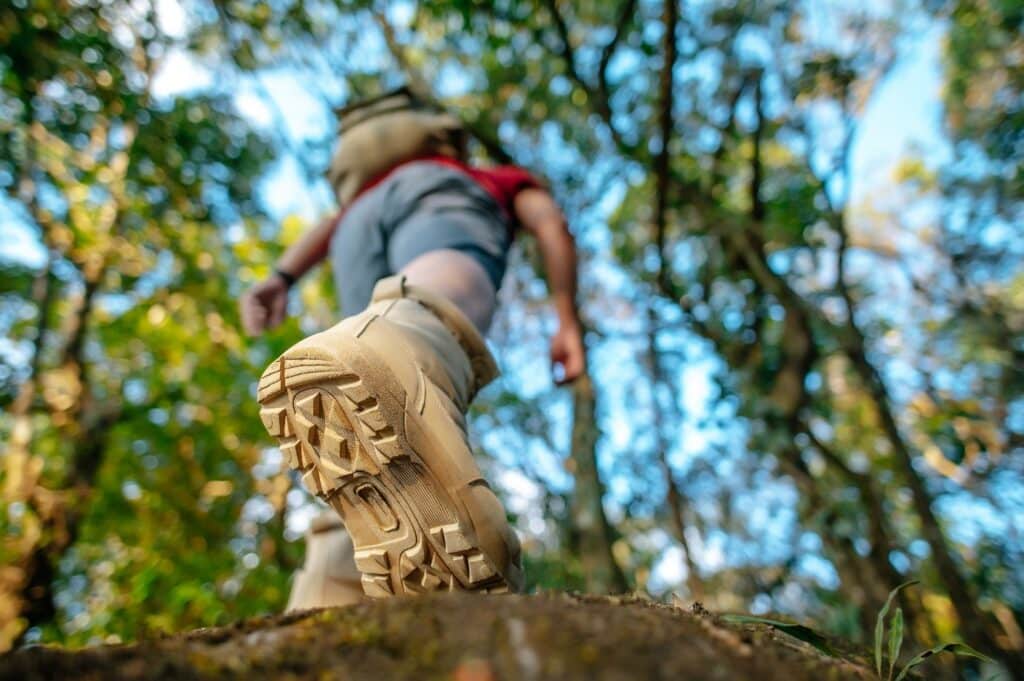 Chaussure de randonnée