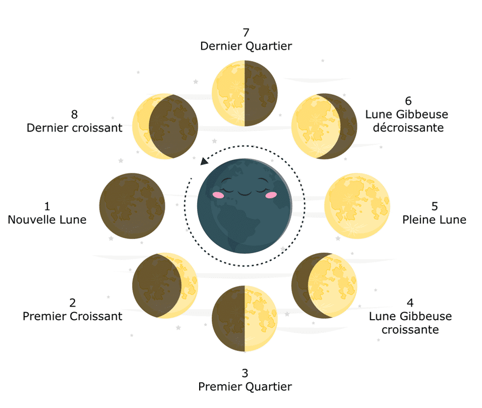 Dessin des différentes phases de la Lune.