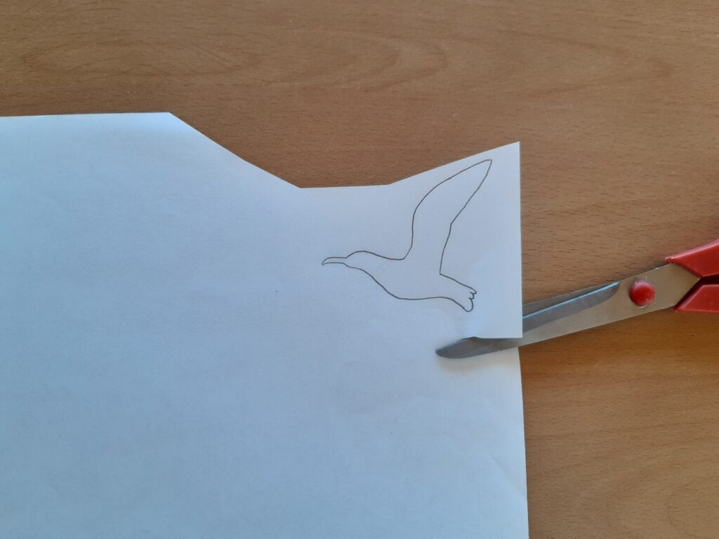 Dessin d'un contour d'un oiseau en vol sur une feuille de papier. Début de découpage.