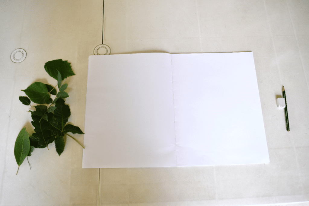 Cahier ouvert sur une table avec à côté des feuilles d'arbres et un crayon et une gomme.