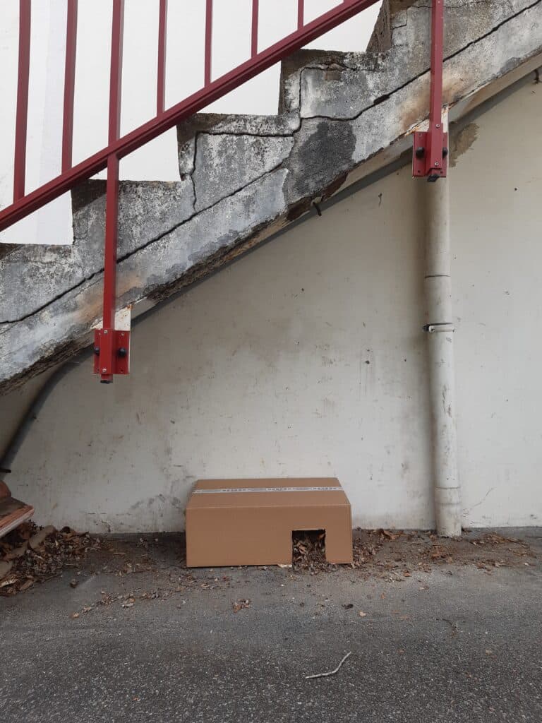 Maison pour hérisson dans une boîte en carton sous un escalier