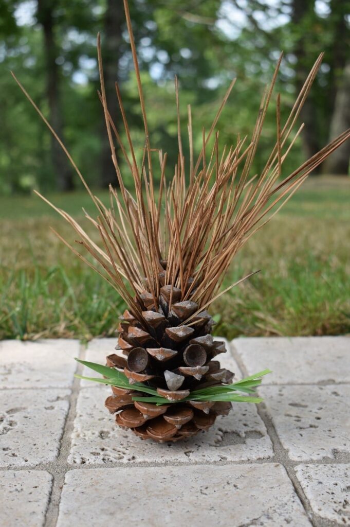 Bonhomme créé avec des éléments de la nature: pomme de pin, herbe, aiguilles de pin, cupule de gland, caillou.