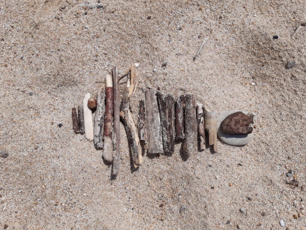 Dessin d'un poisson avec des bouts de bois sur le sable
