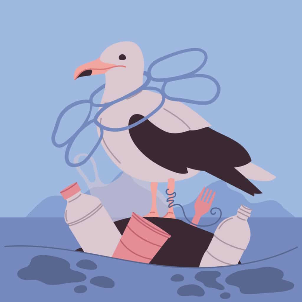 Dessin de l'impact de la pollution sur une mouette