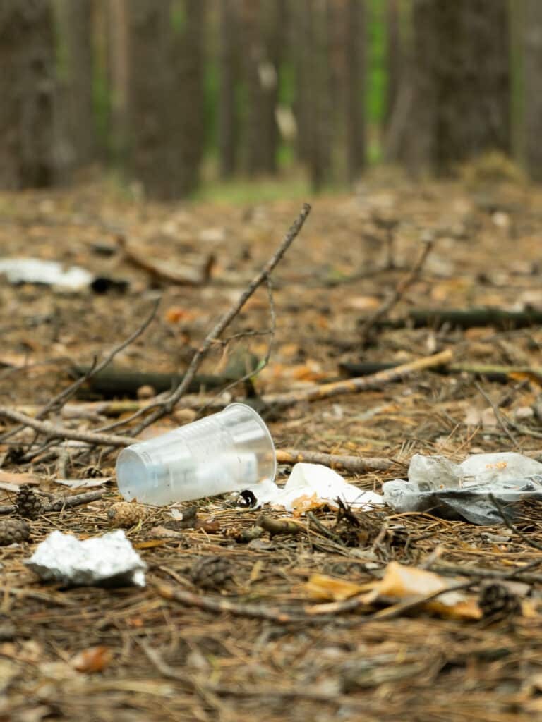 Déchets dans la nature posés au sol