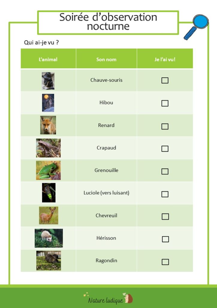 Fiche d'observation des animaux nocturnes 1