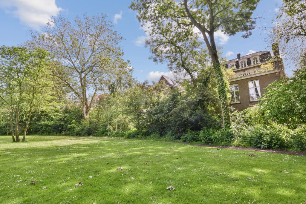 Jardin proche d'une maison