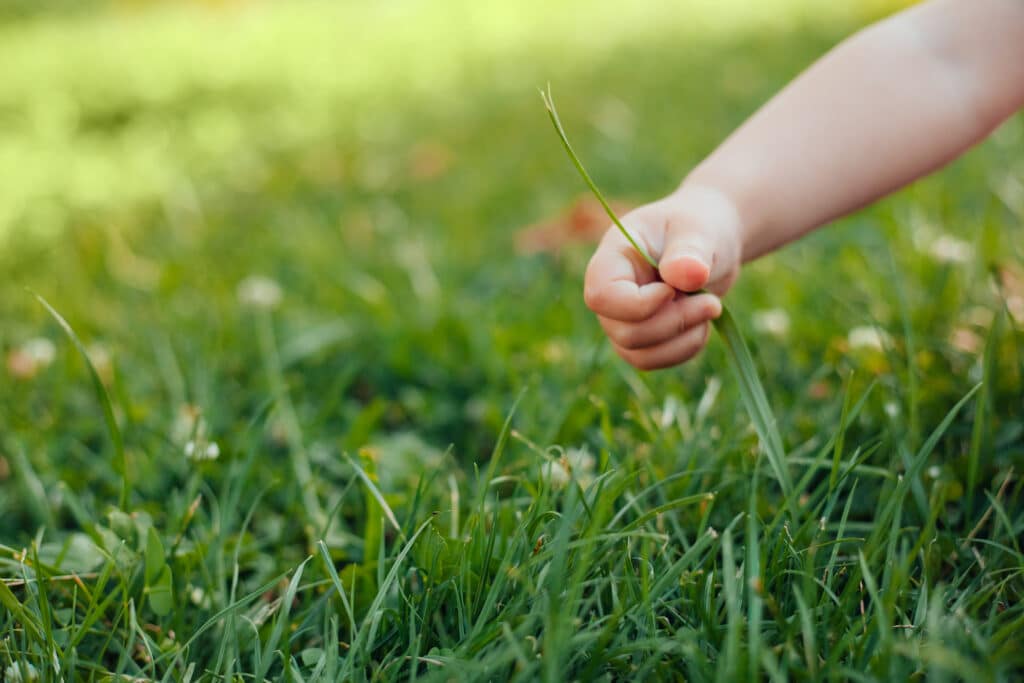 Main d'un enfant qui touche l'herbe
