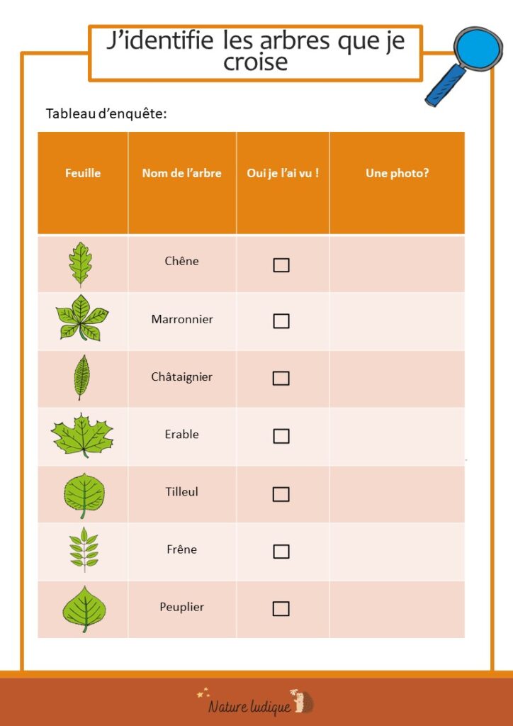 7 arbres à reconnaître fiche pratique simple