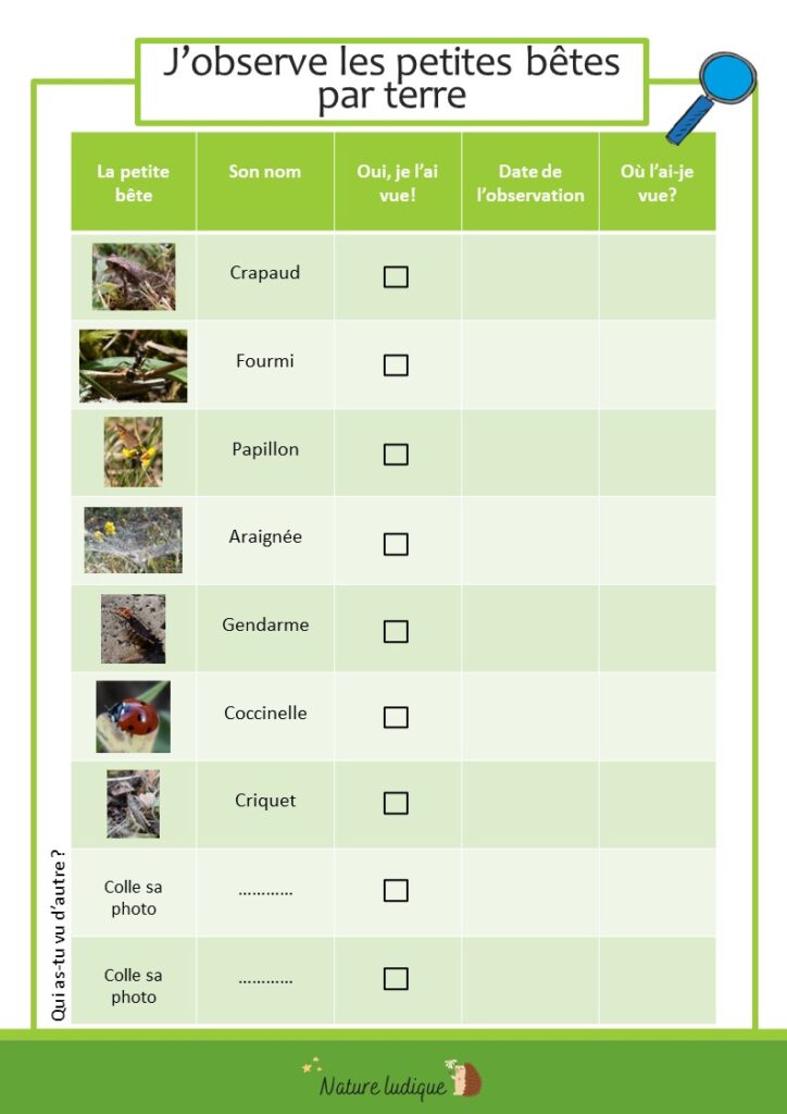 Les petites bêtes fiche avancée