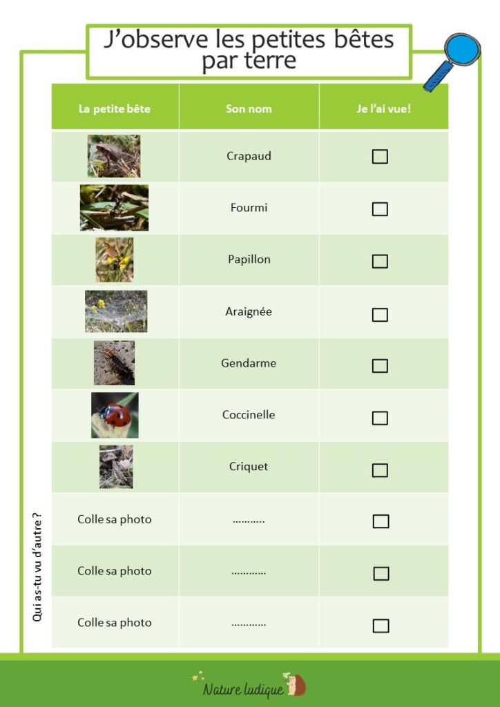 Les petites bêtes fiche simple