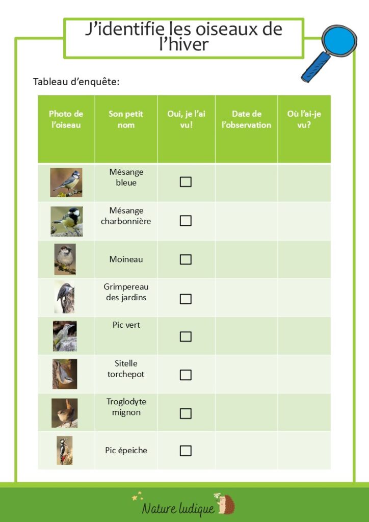 8 oiseaux de l'hiver fiche avancée.