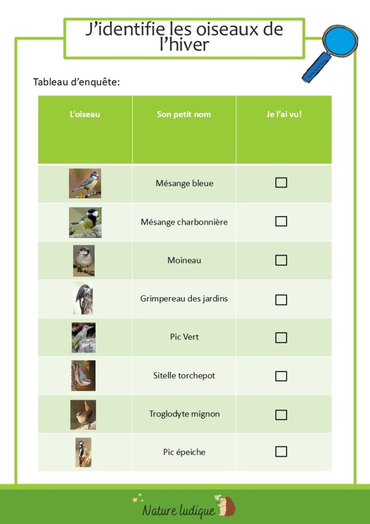 8 oiseaux de l'hiver fiche simple.