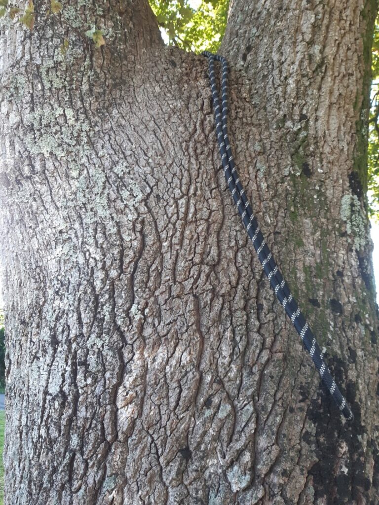 Une corde pour grimper aux arbres.