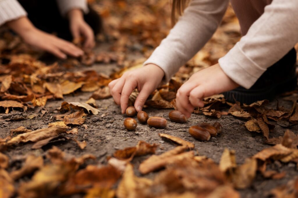 Deux enfants qui ramassent des glands par terre en automne