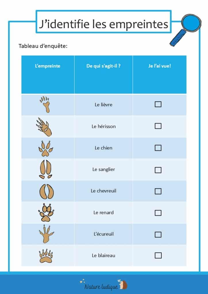 Fiche simple de l'identification des empreintes de mammifères