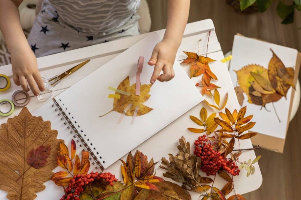 Cahier herbier avec des feuilles d'automne.