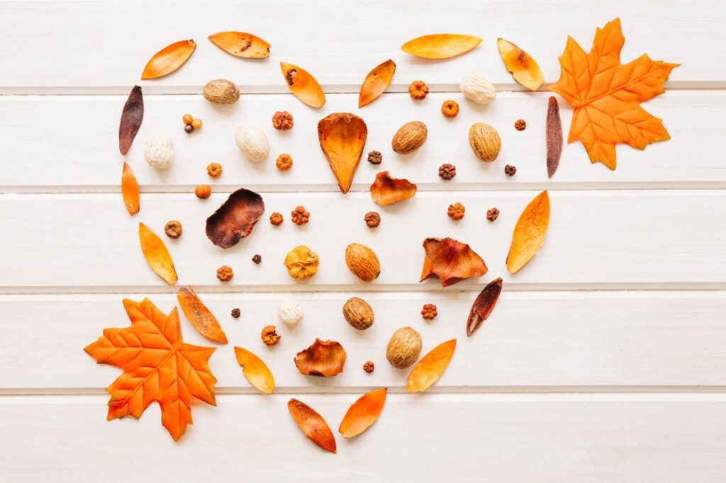 Mandala feuilles et éléments d'automne. Forme en cœur.