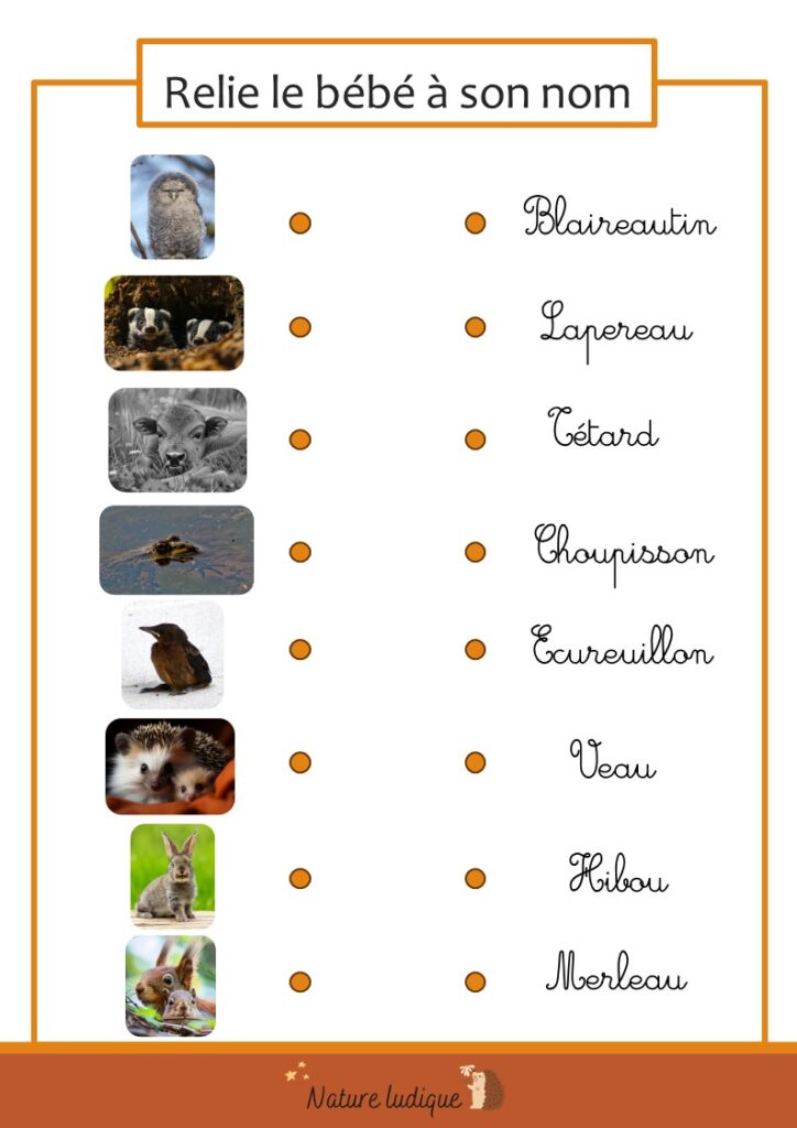 Fiche jeu 1 : relie le bébé à son nom.