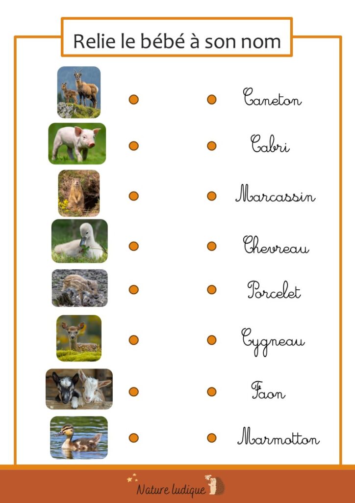Fiche jeu 2 : relie le bébé à son nom.