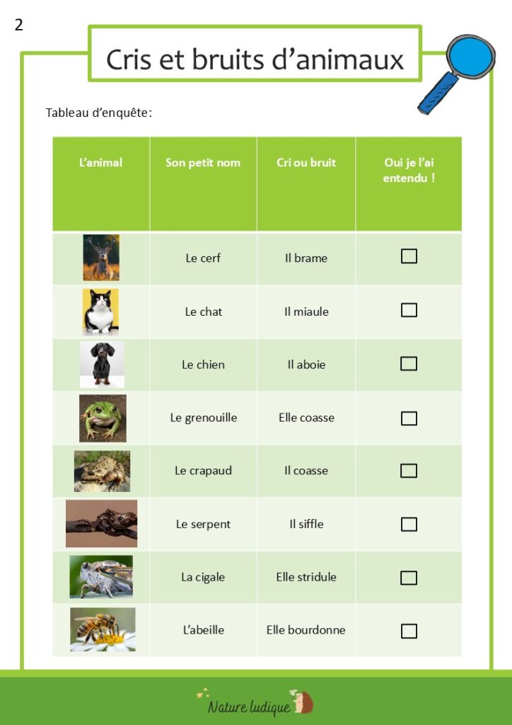 Fiche activité cris et bruits d'animaux 2
