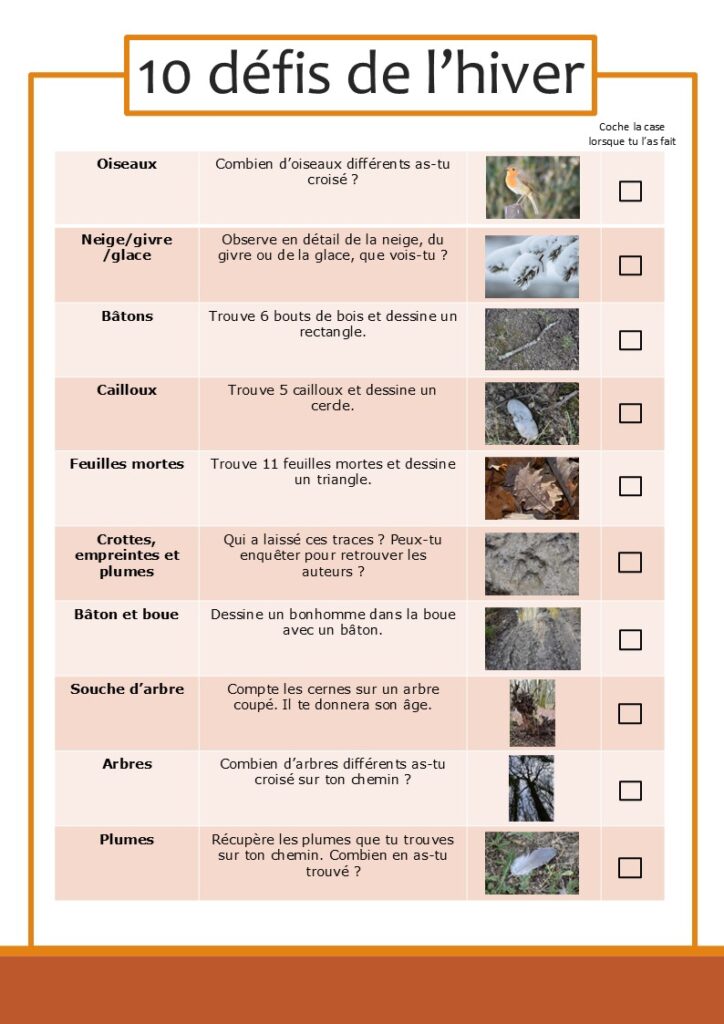 Fiche d'activités des défis de l'hiver.