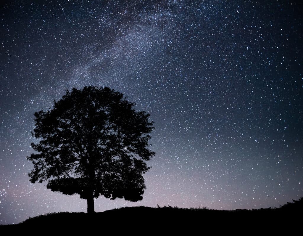 Ciel étoilé la nuit
