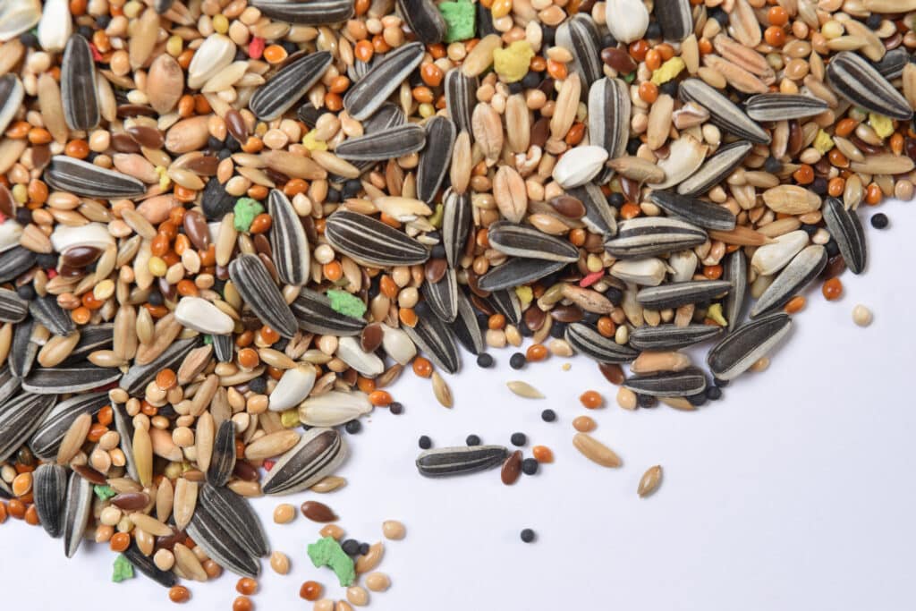Mix de graines pour les oiseaux