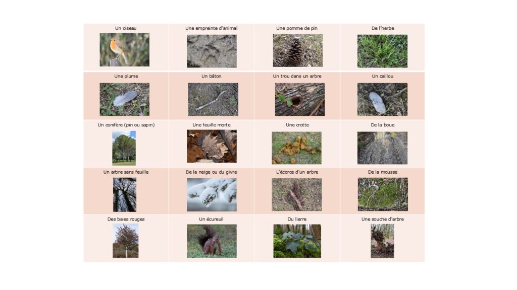Le Loto de la nature en hiver fiche avancée