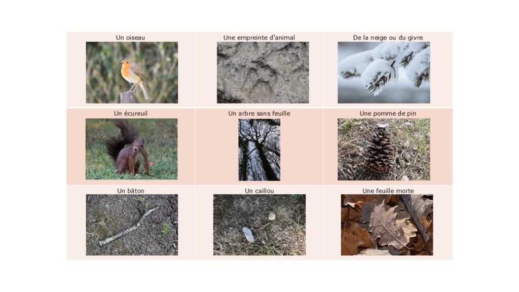 Le Loto de la nature en hiver fiche simple