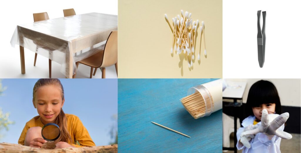 Matériel nécessaire pour l'activité : décortiquer une pelote de réjection
