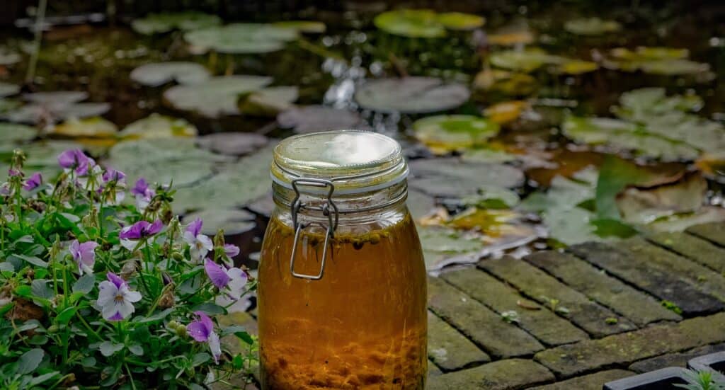 Prélèvement de l'eau de la rivière dans un bocal.
