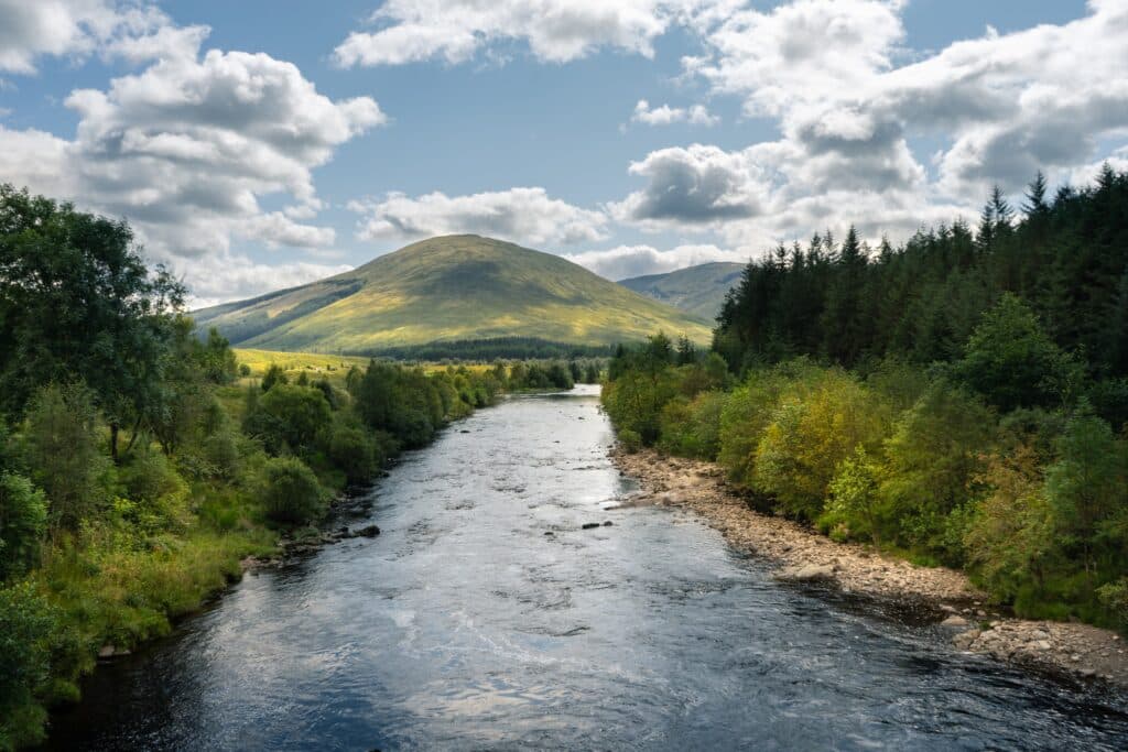 Une rivière entourée d'arbres et de montagnes