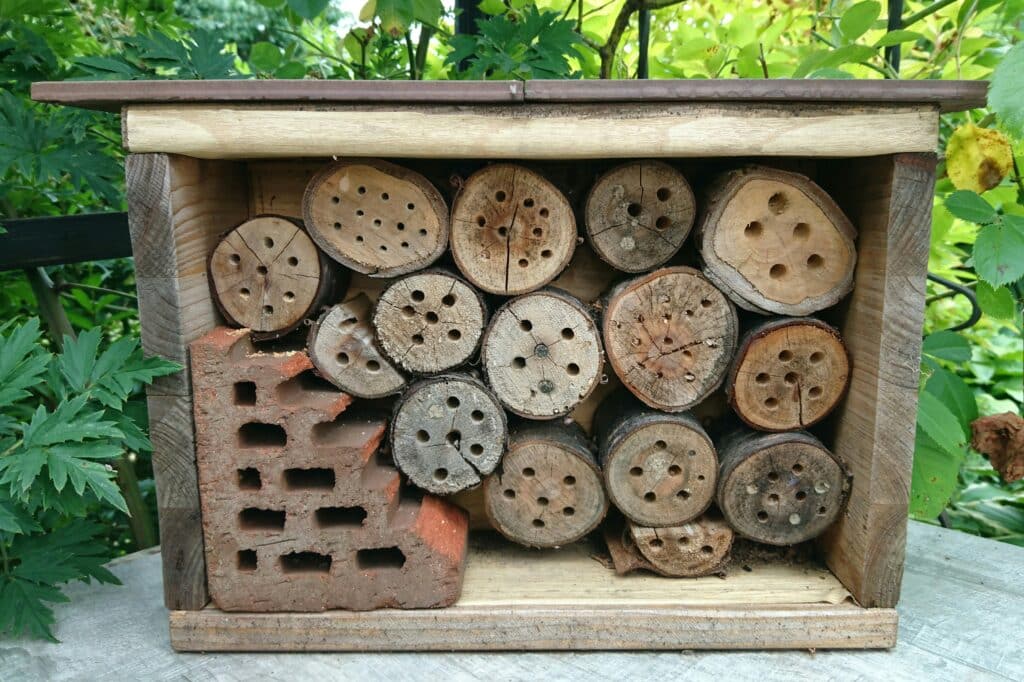 Un hôtel à insectes, principalement pour les abeilles