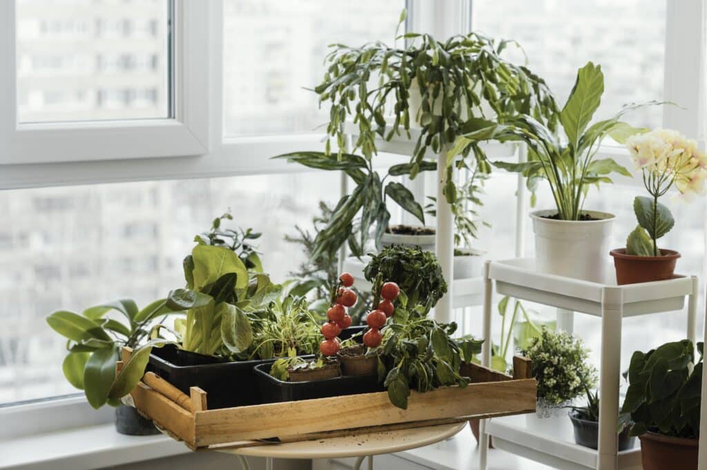 Créer un mini jardin en pot à l'intérieur de chez soi
