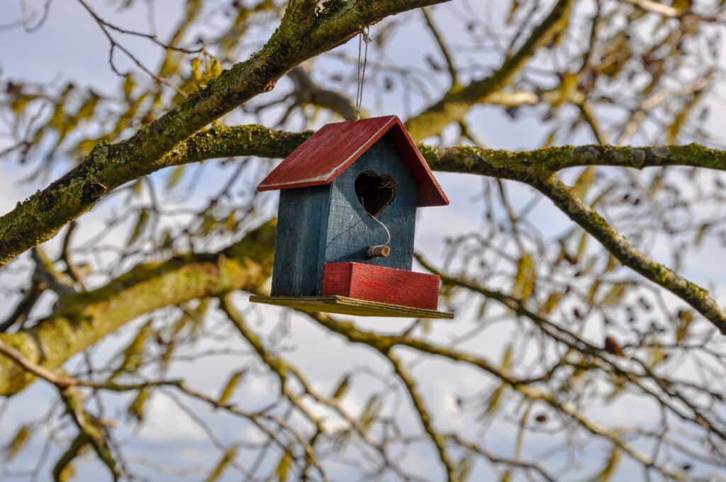 Nichoir pour oiseaux pendu à une branche d'arbre