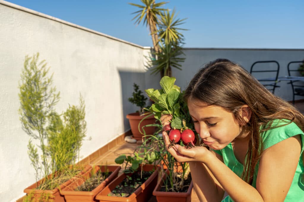 Mini jardin en pot sur une terrasse : radis