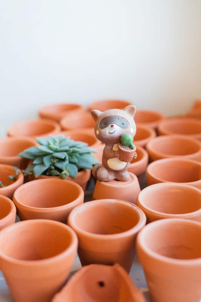 Pot pour mini jardin en pot