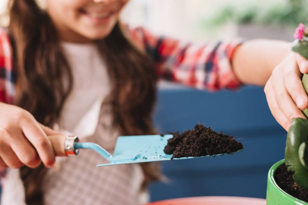 Le terreau pour le mini jardin en pot