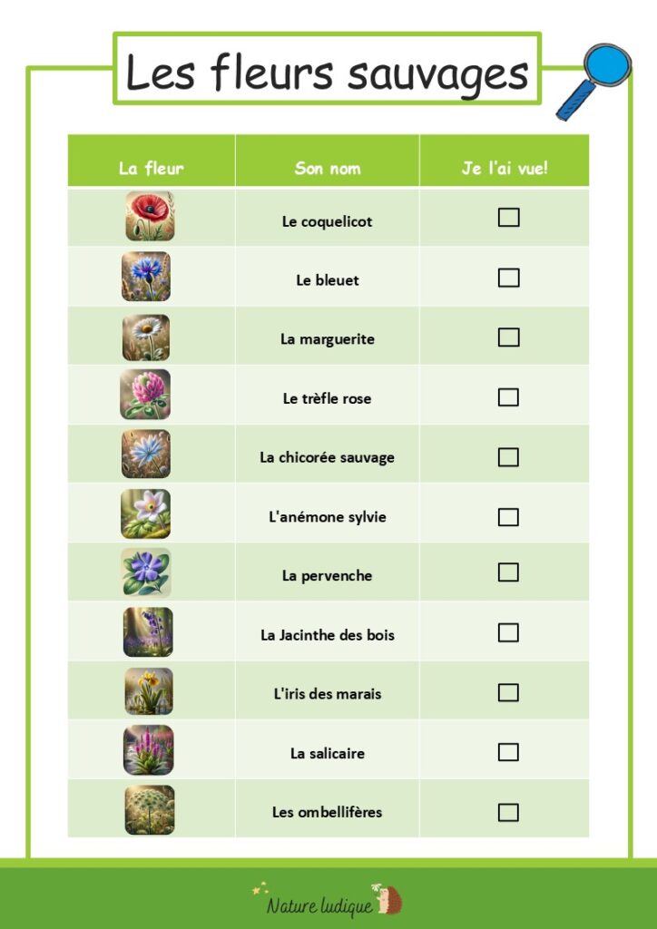 Fiches d'identification des fleurs sauvages version simple