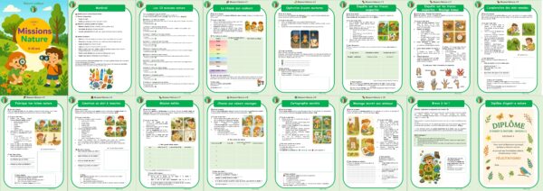Les Carnets de l'été – Image 2