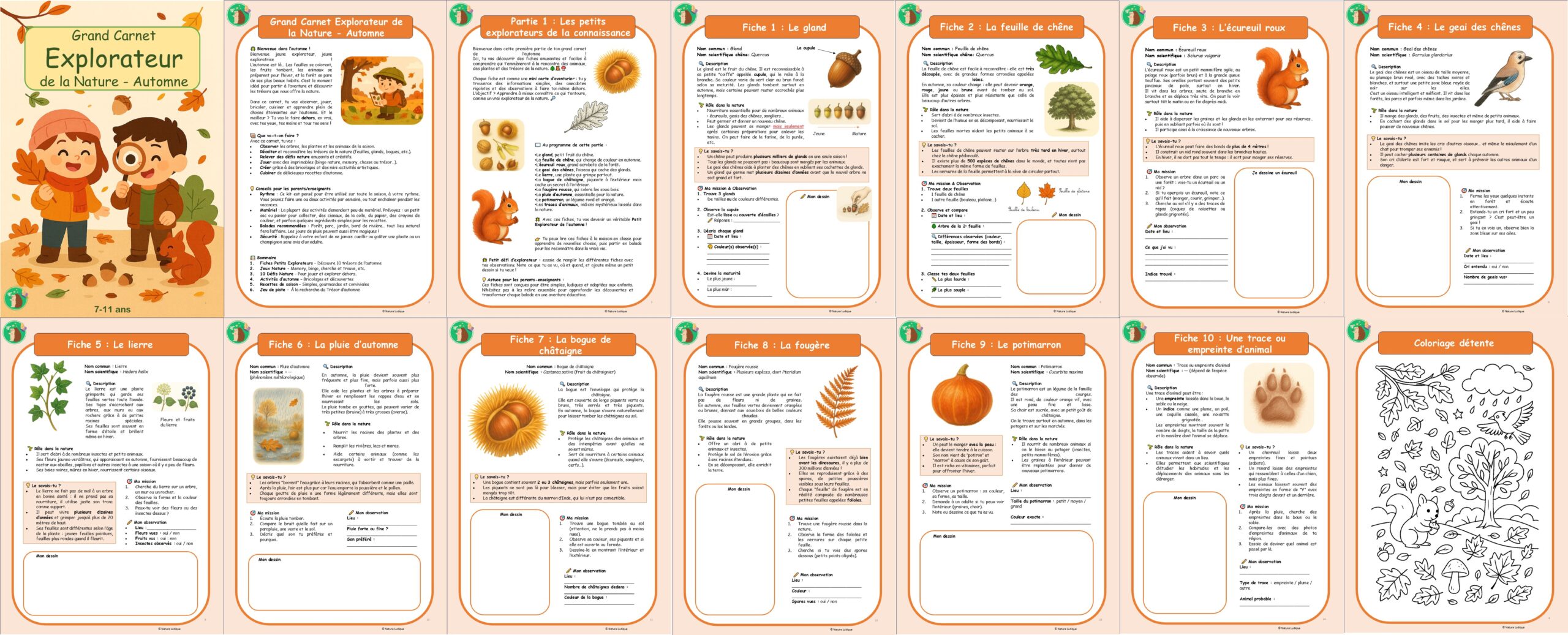 Le Grand Carnet de la Nature – Automne 7-11 ans – Image 7